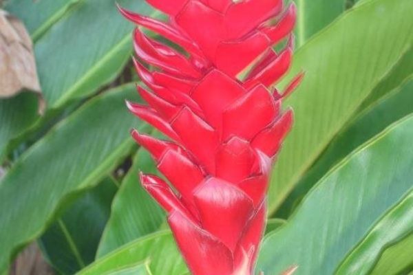 Paraíso das Águas Hotel em Ituberá - Baixo Sul da Bahia