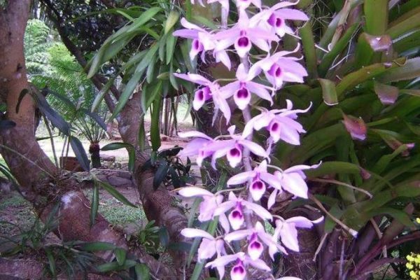 Paraíso das Águas Hotel em Ituberá - Baixo Sul da Bahia